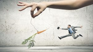 Giant Carrot Chase 300x170 - Small Business Corporate Credit Cards are not out of Reach – Terrific!