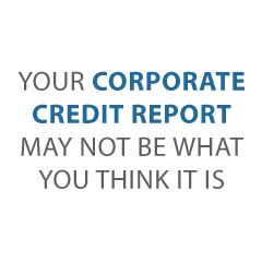 corporate credit report Credit Suite2 - Real Corporate Credit Report Review